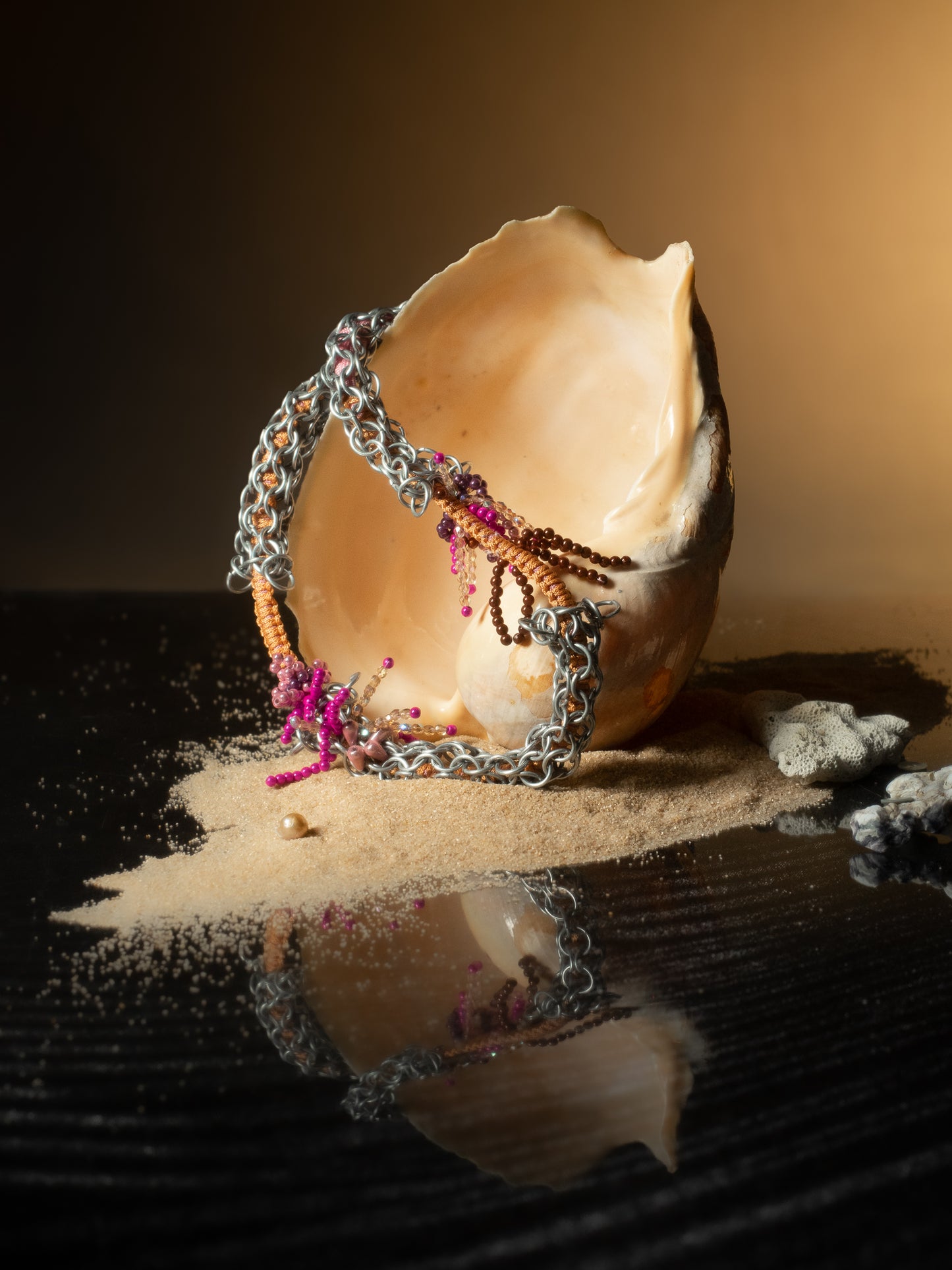 Le collier Cypraea